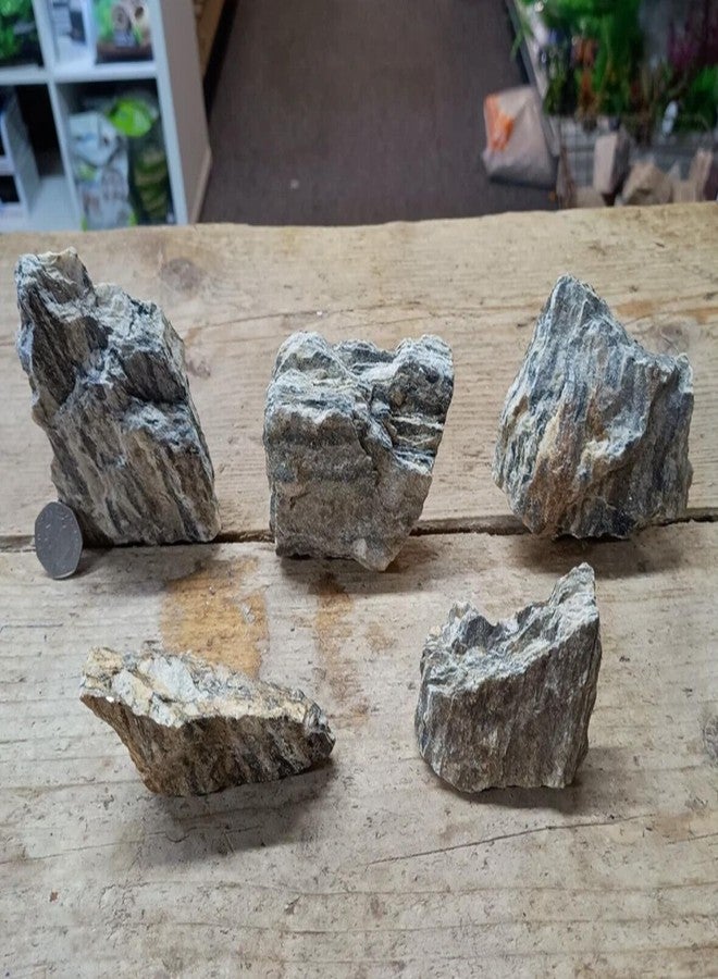 RUKDA صخور خشبية طبيعية لامعة من روكدا® | أحجار رمادية متلألئة متعددة الطبقات بتأثير الميكا | تنسيق أحواض السمك، أحواض النباتات المائية، أحواض الزواحف، أحواض الأسماك، ديكور الحدائق والمنازل | أحجار طبيعية 100% (0.9 كيلوغرام) - Image 3